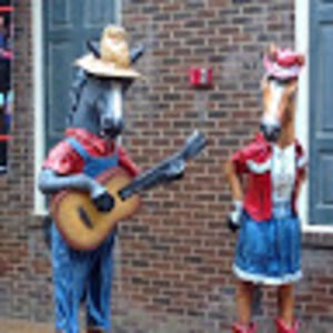 Meet your Posher, Amelia